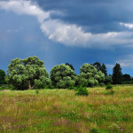 Орловское Полесье — национальный парк на северо-западе Орловской области